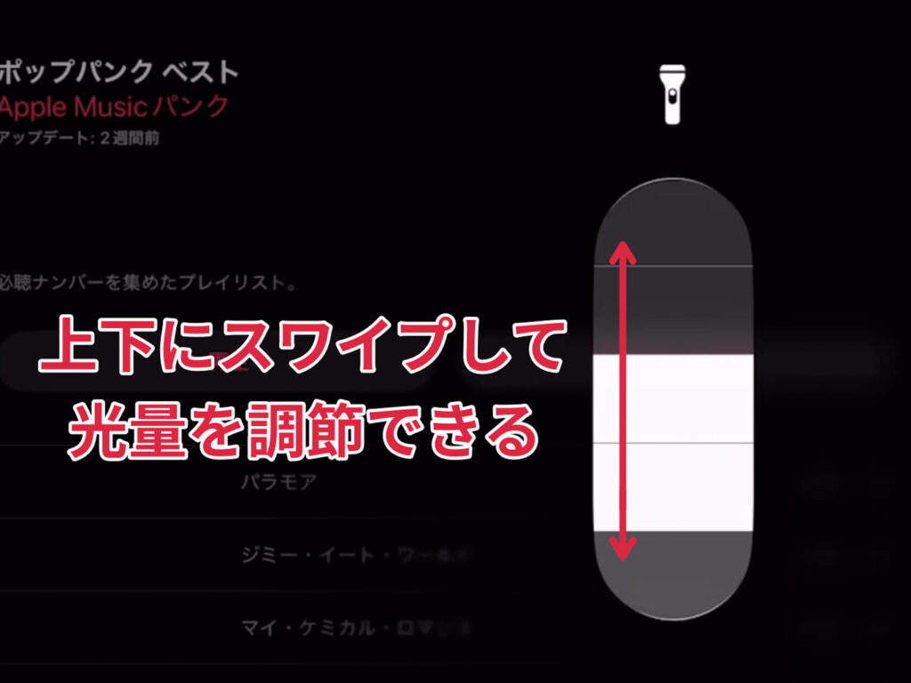 iPadのフラッシュライトの光量を調節する画面