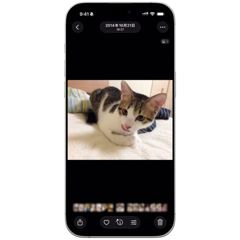 iPhoneで思い出の猫の写真を表示している様子