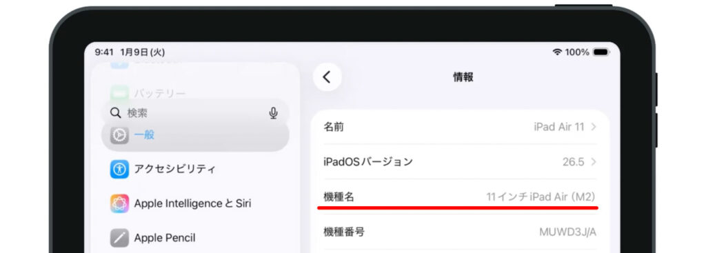 iPadの機種名が表示されている画面